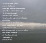 ein Bild aus dem Album