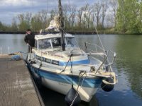 ein Bild aus dem Album